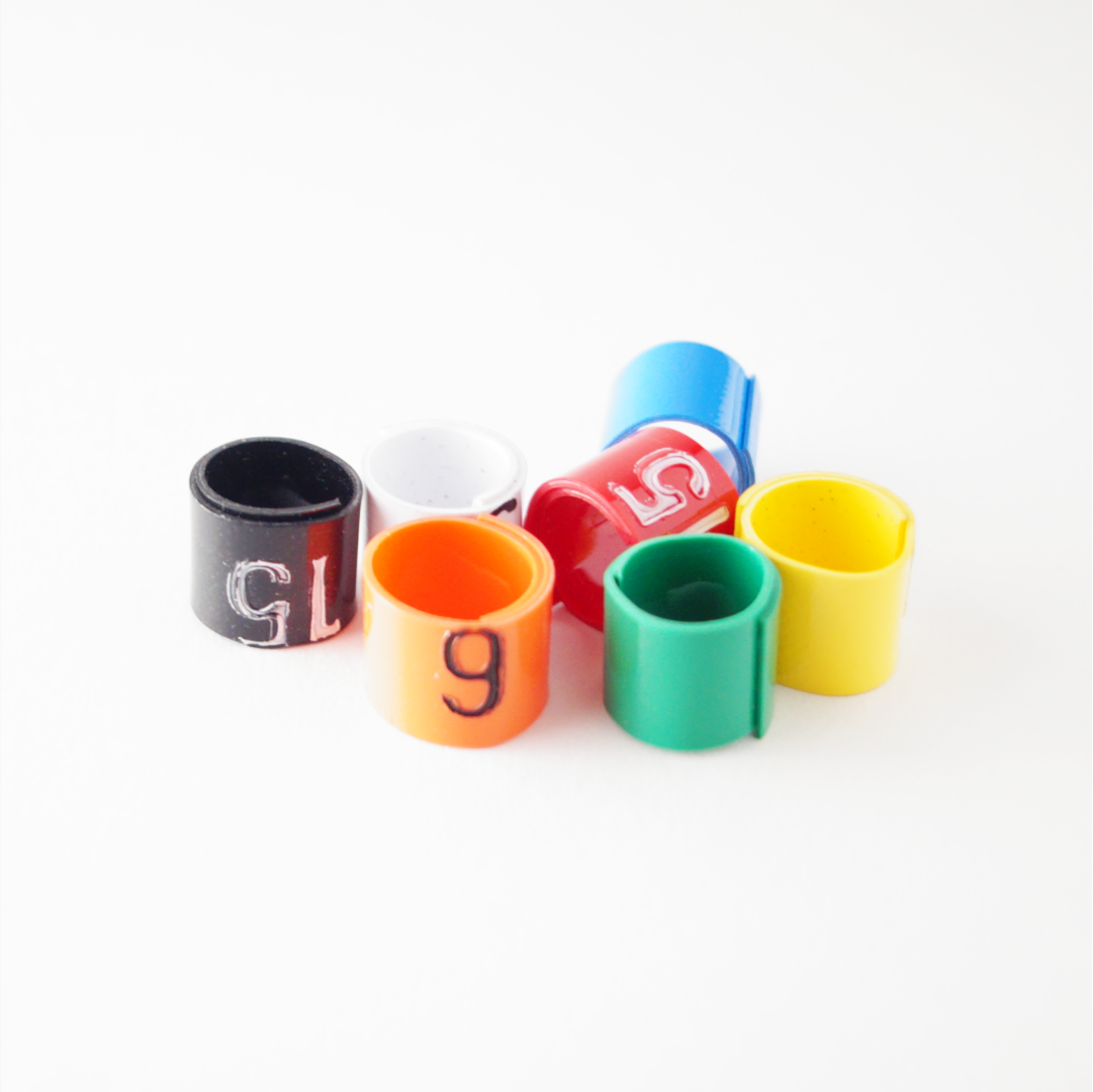 Coloured pigeon leg rings tracking number